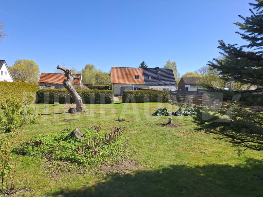 Hinterhof Hinterhof
