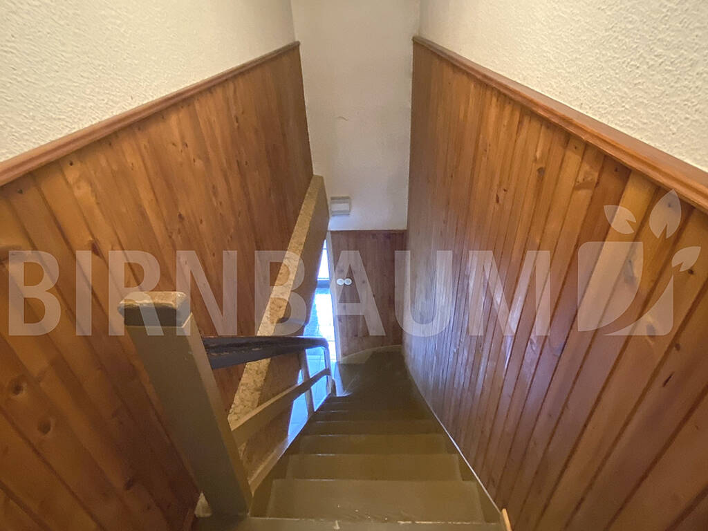 Treppe linke Haushälfte Treppe linke Haushälfte