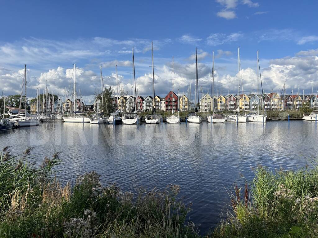Ausblick