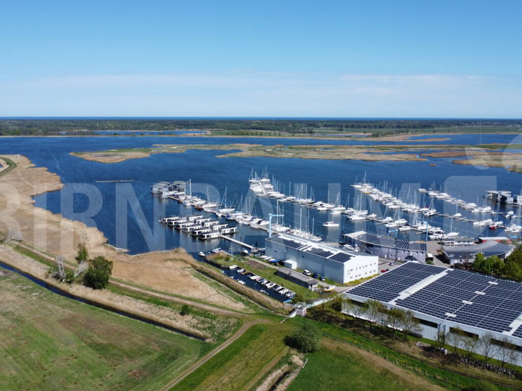 Marina Marina