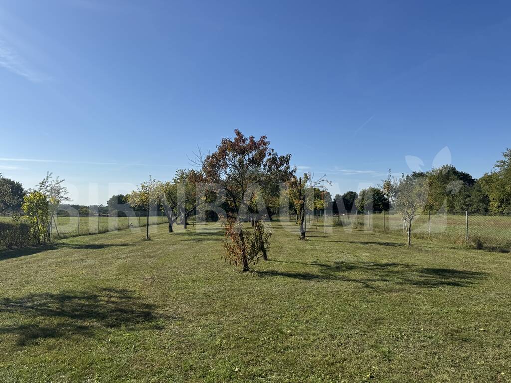 Garten Garten