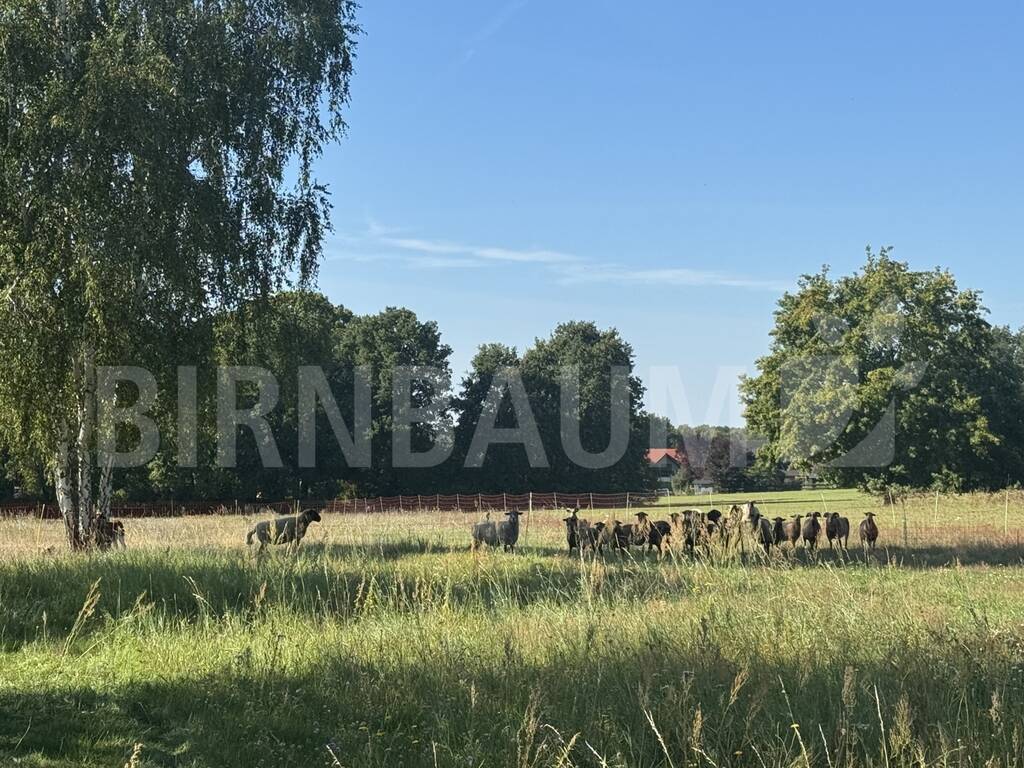 Umgebung Grundstück Umgebung Grundstück