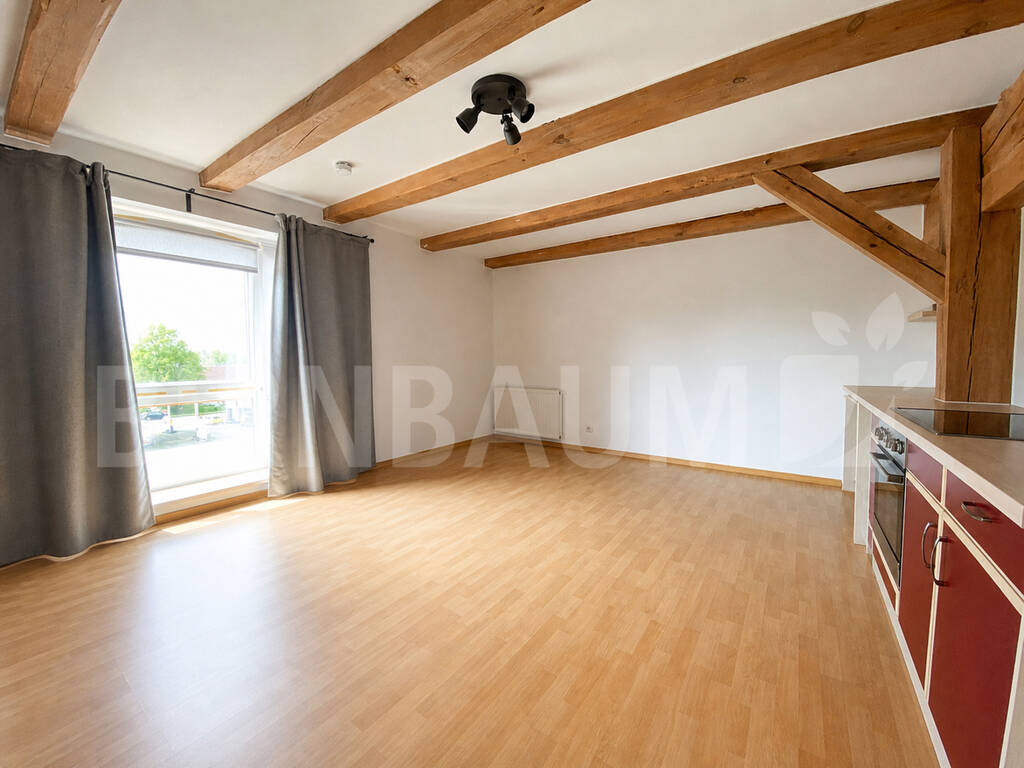 Zimmer Zimmer