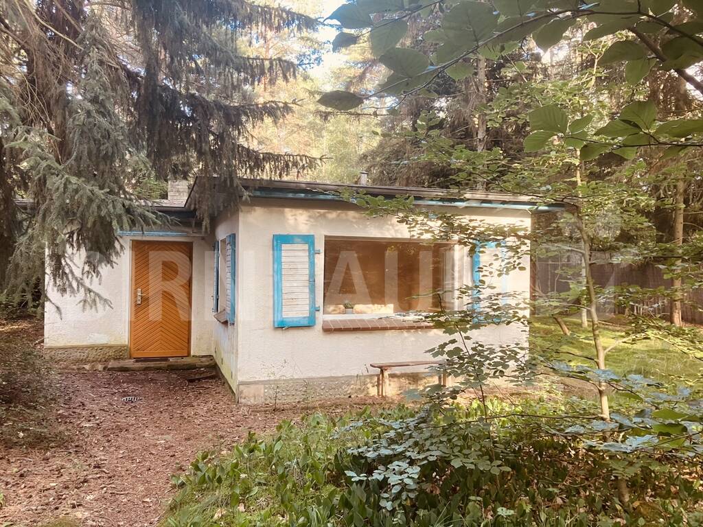 Weg zum Ferienhaus